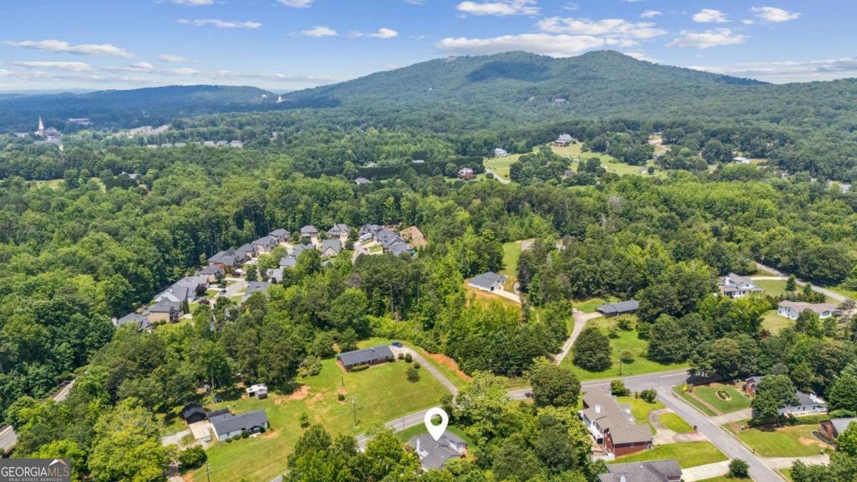 1480 Bettis Tribble Gap Road Cumming - 32