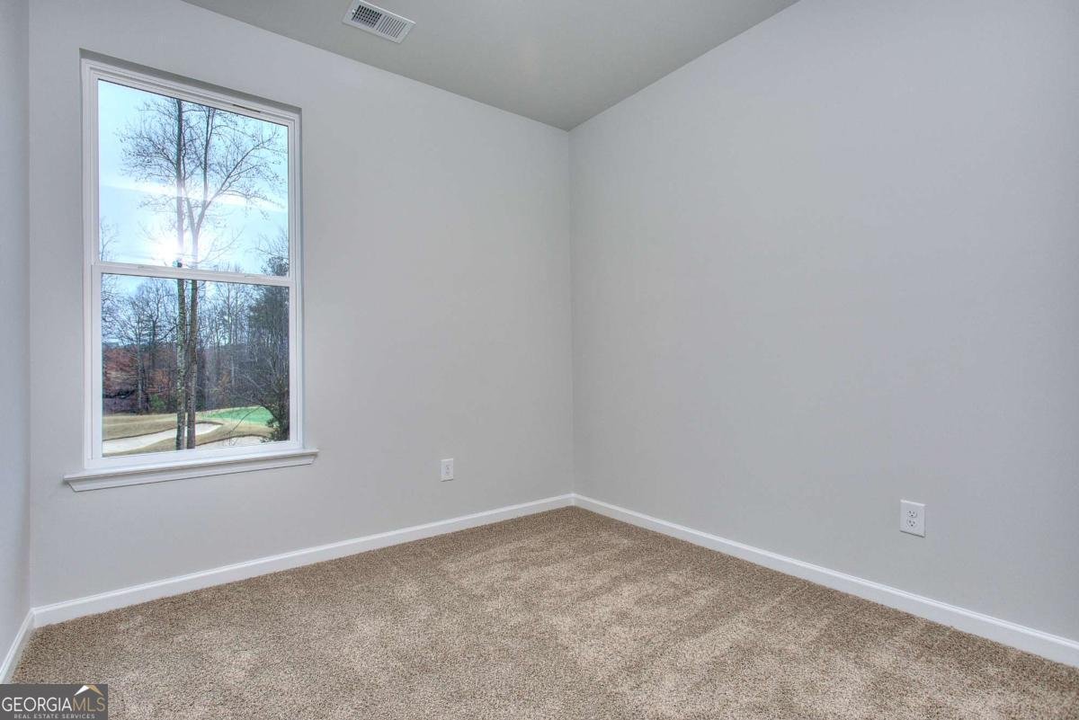121 Greenview Court Homer - 25