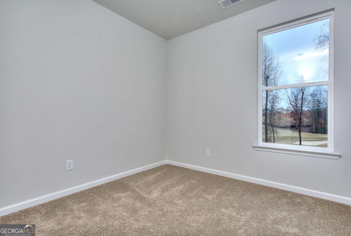 121 Greenview Court Homer - 28