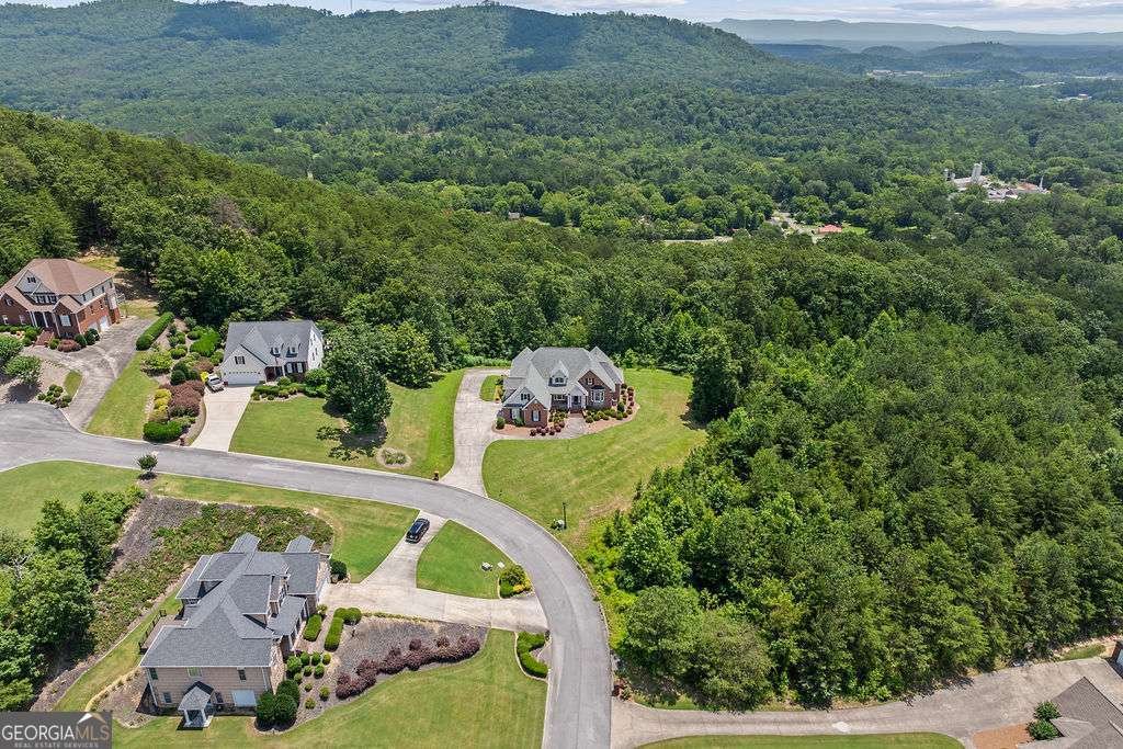262 Pinnacle Pointe Dr Rocky Face - 16