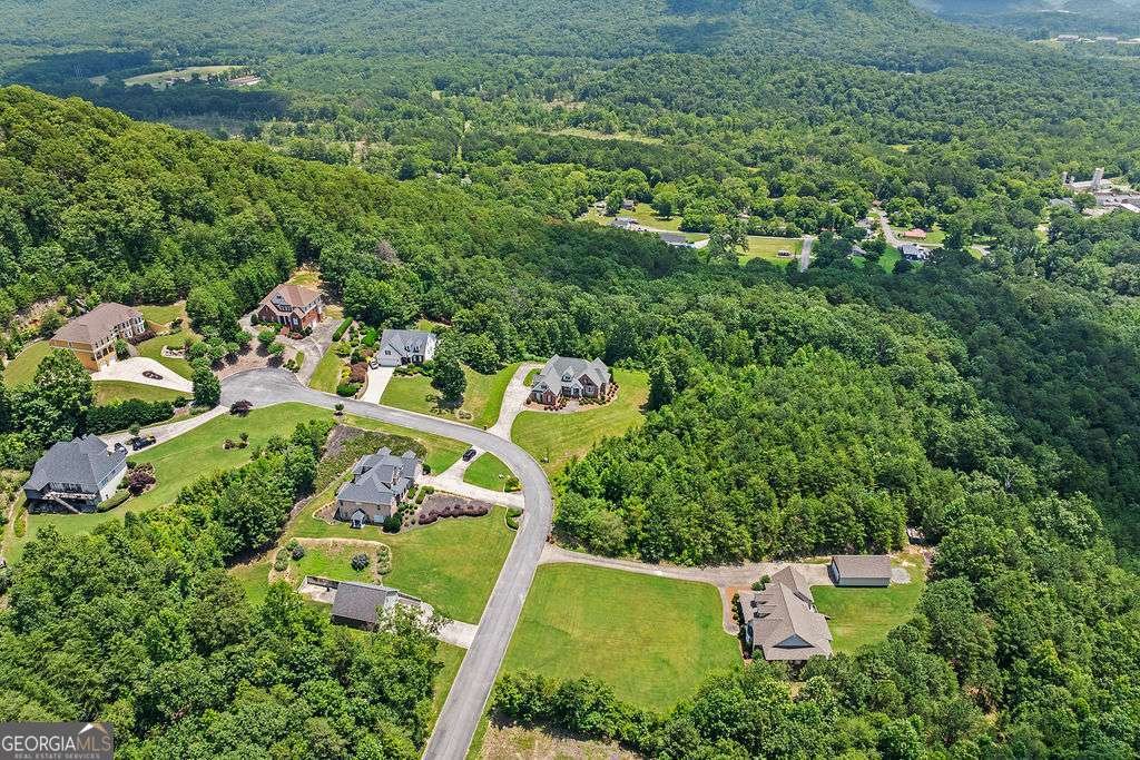 262 Pinnacle Pointe Dr Rocky Face - 41