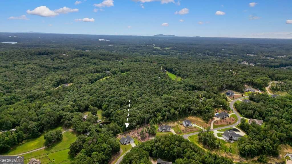 287 Flower Farm Drive Acworth - 8