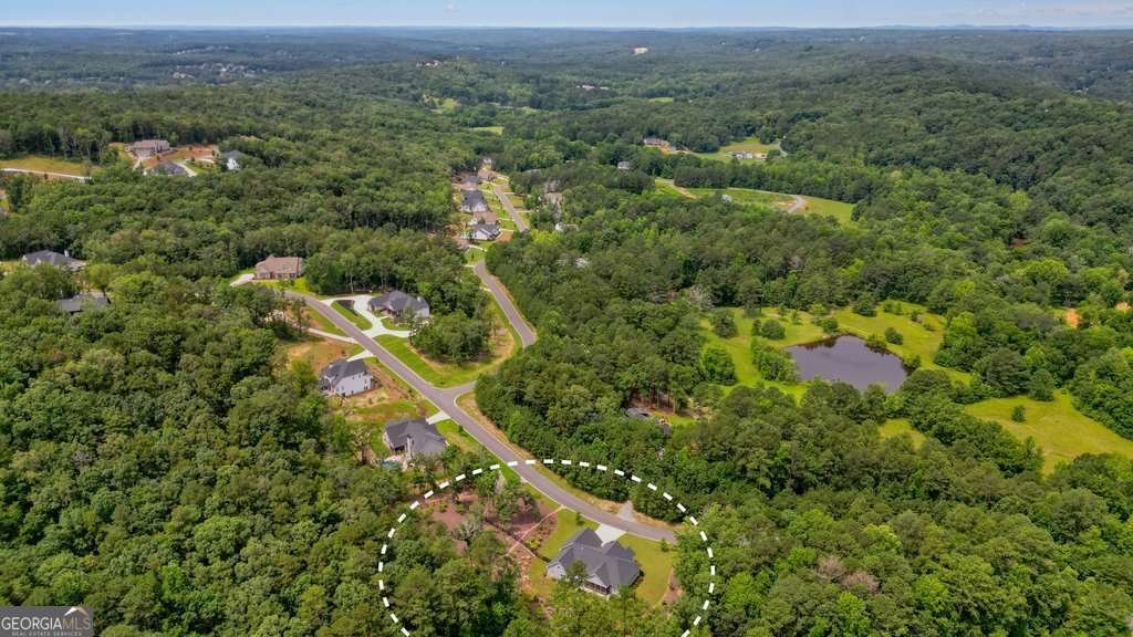 287 Flower Farm Drive Acworth - 9