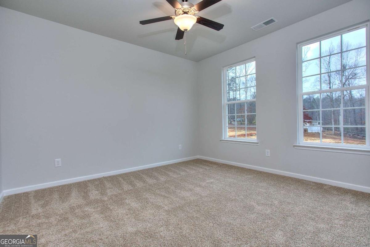 123 Greenview Court Homer - 11