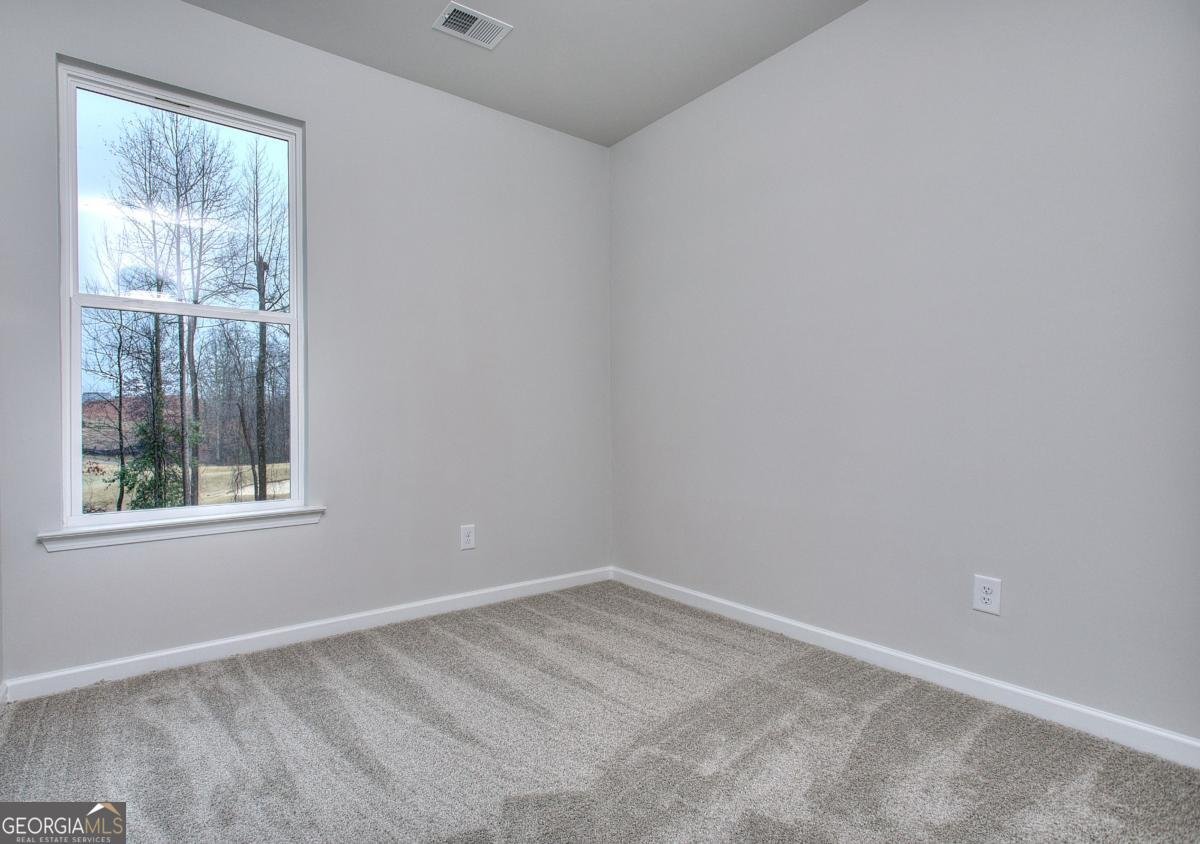 119 Greenview Court Homer - 25