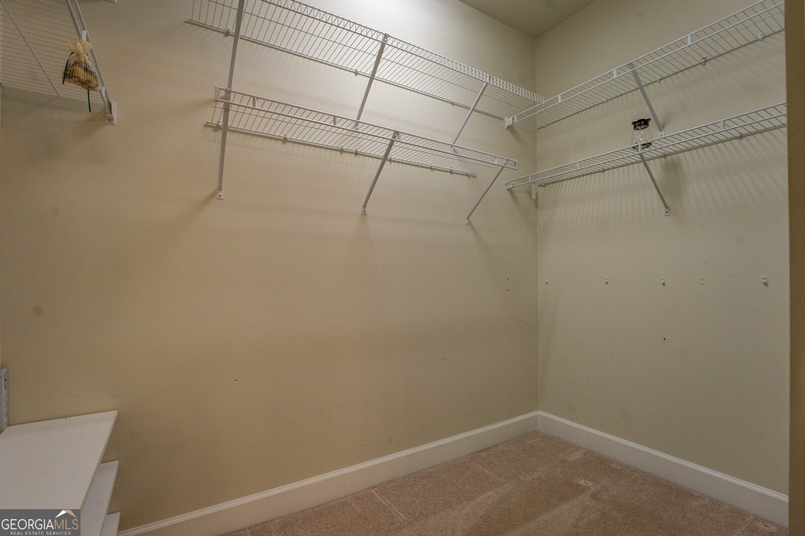 123 Plumleaf Court Griffin - 17