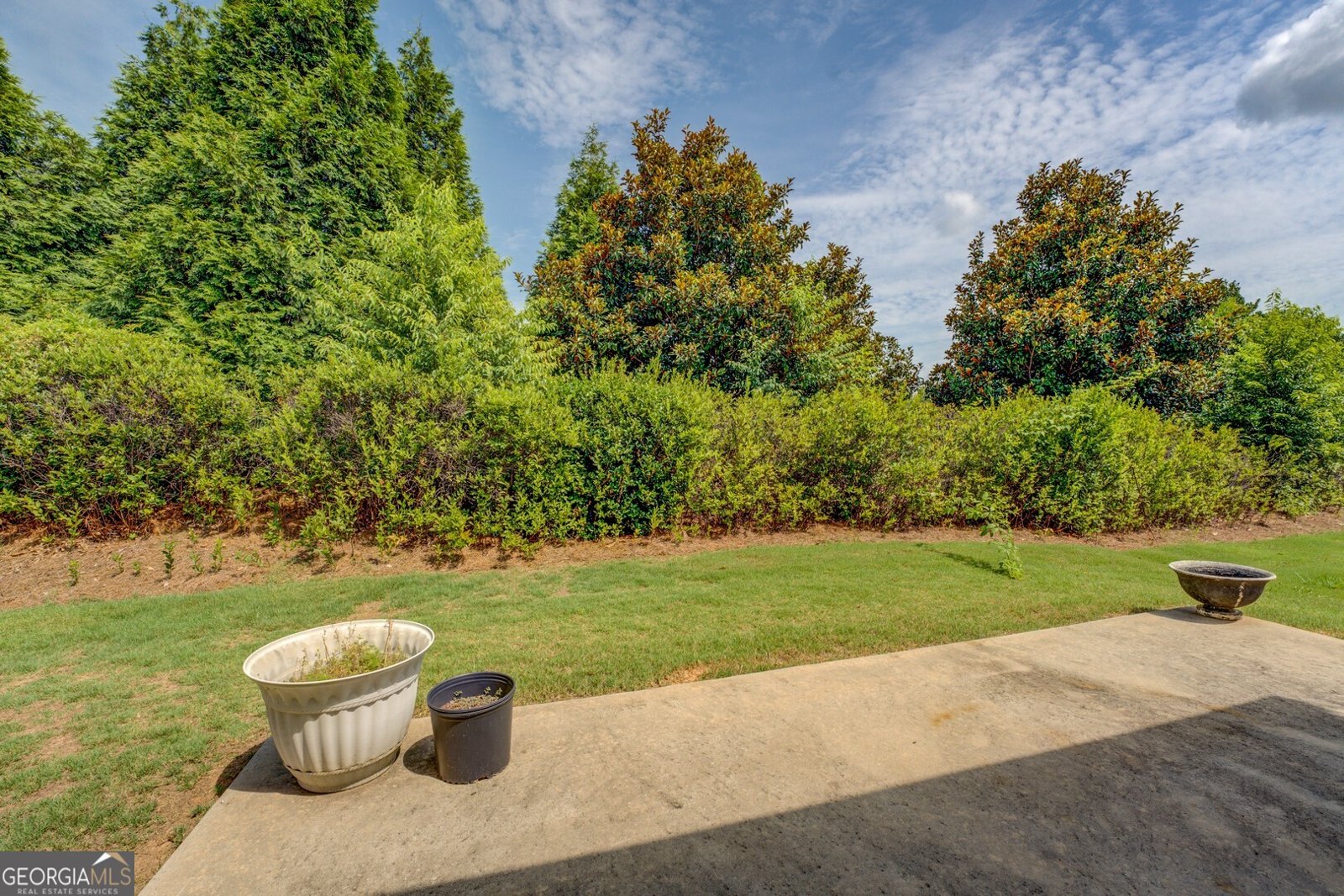 123 Plumleaf Court Griffin - 5