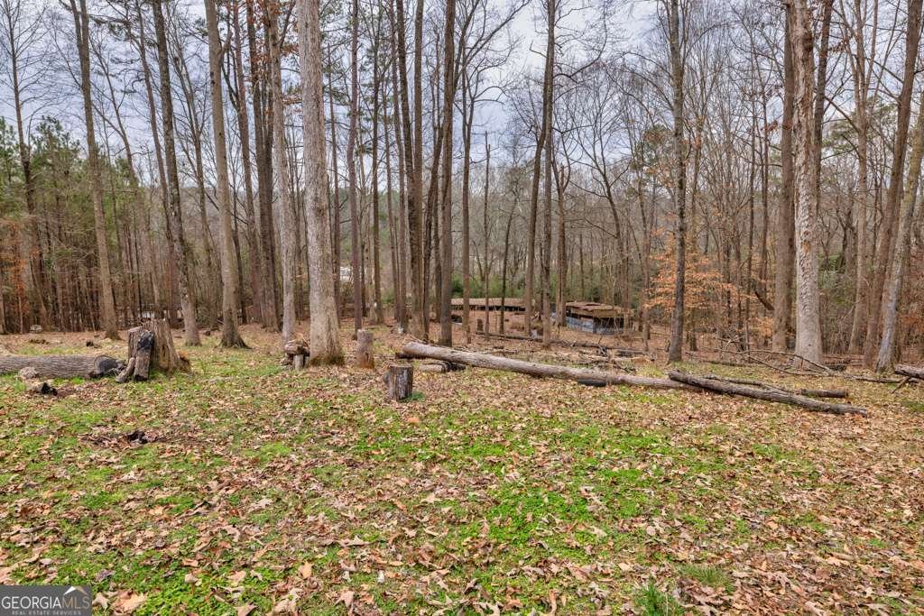 1072 Jim Johnson Road Winder - 32
