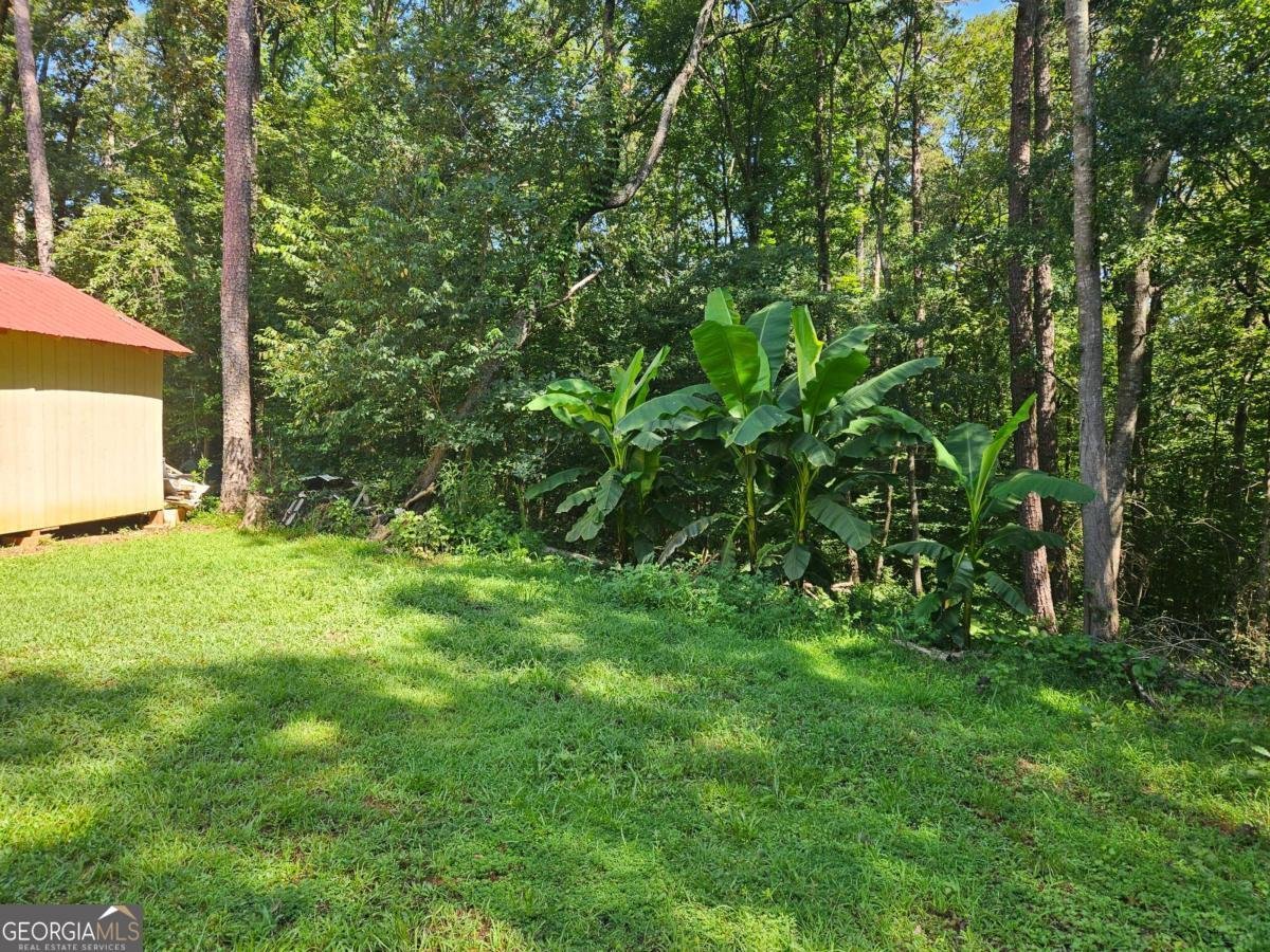 1072 Jim Johnson Road Winder - 4