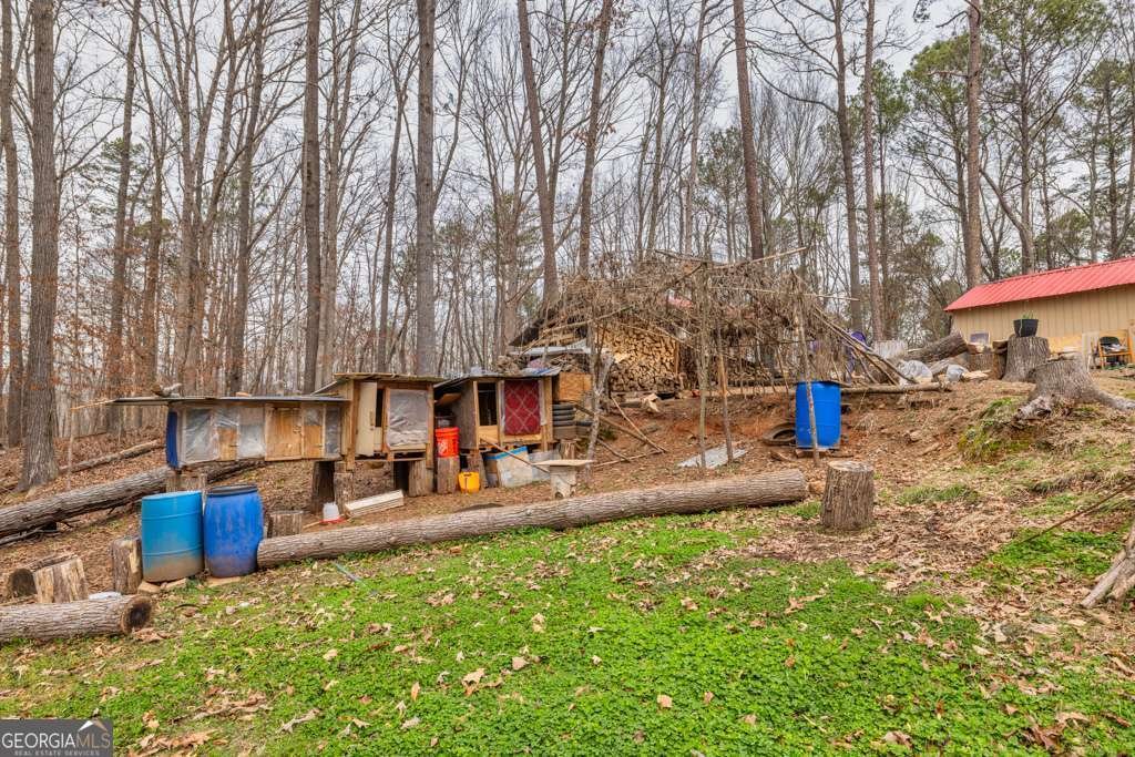 1072 Jim Johnson Road Winder - 40