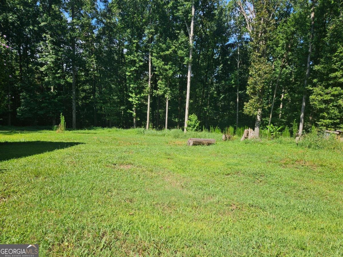 1072 Jim Johnson Road Winder - 5