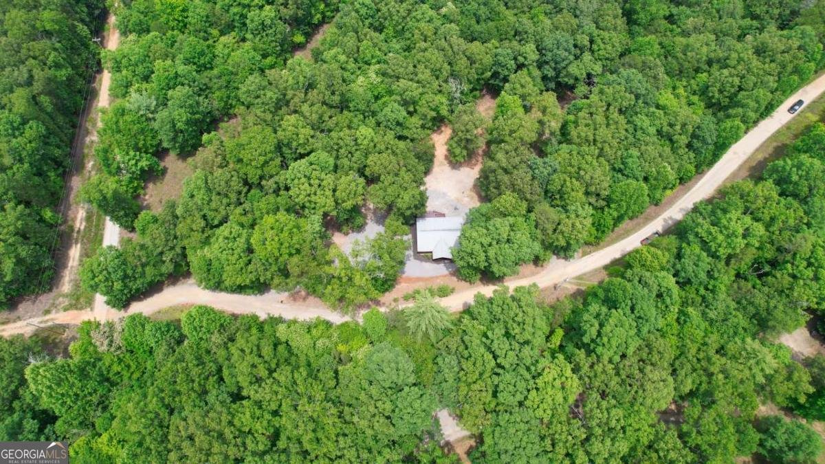 981 Kelly Ridge Drive Blue Ridge - 6