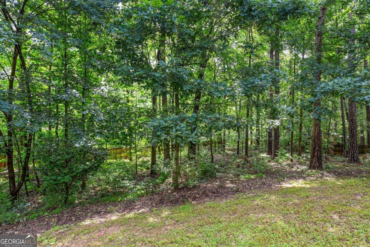 5355 Highland Pine Lane Mableton - 8