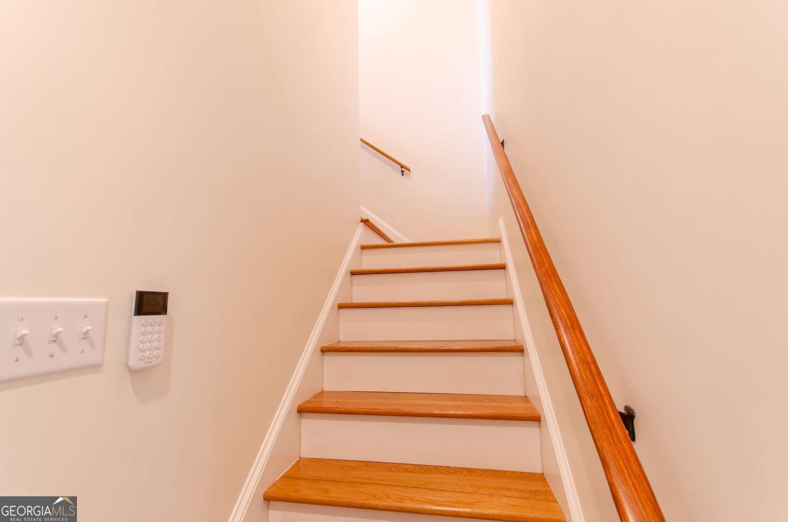 258 Stonebrook Trail Cleveland - 38