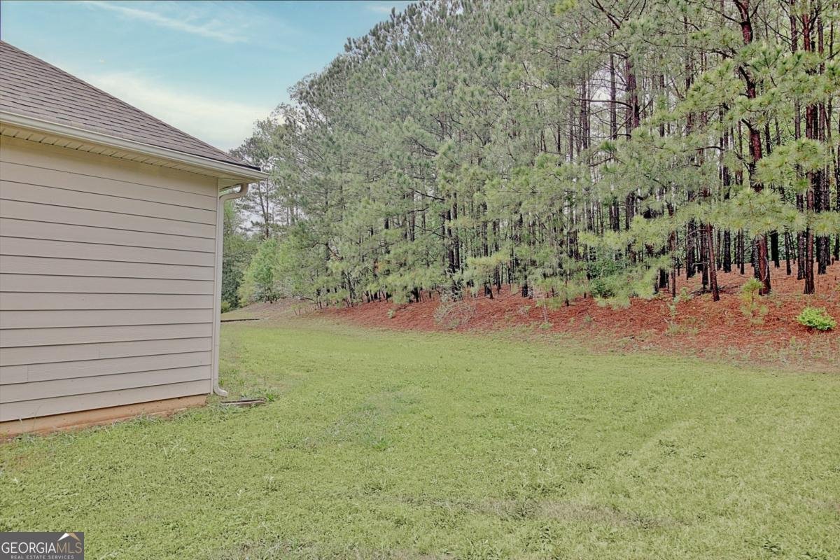 862 Crescent Lane Griffin - 16
