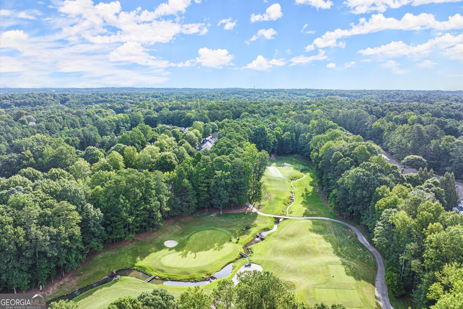 1065 Beacon Hill Crossing Alpharetta - 58