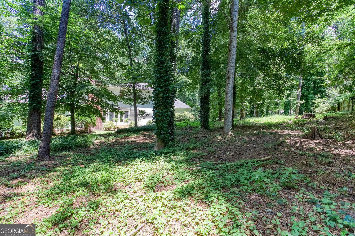 5491 Hiram Road Powder Springs - 82