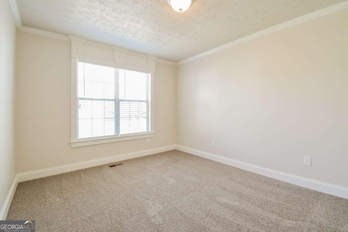 3543 Benthollow Way Duluth - 19