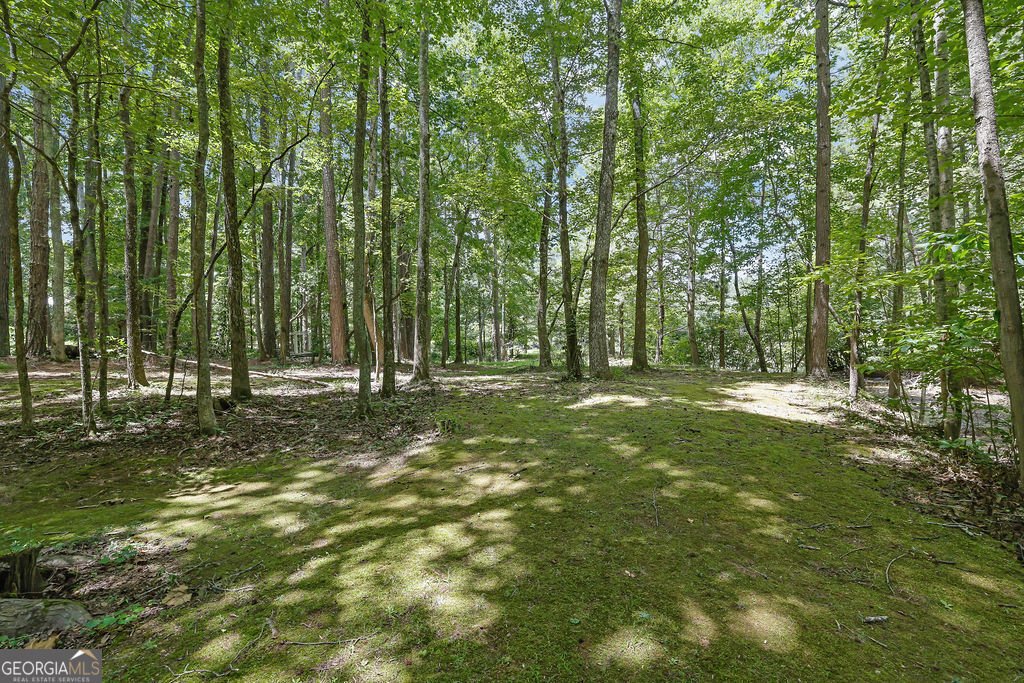 402 Leslie Court Woodstock - 42