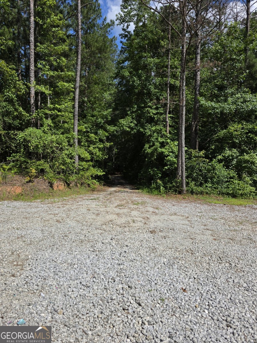 17533 Ga Highway 34 Franklin - 10