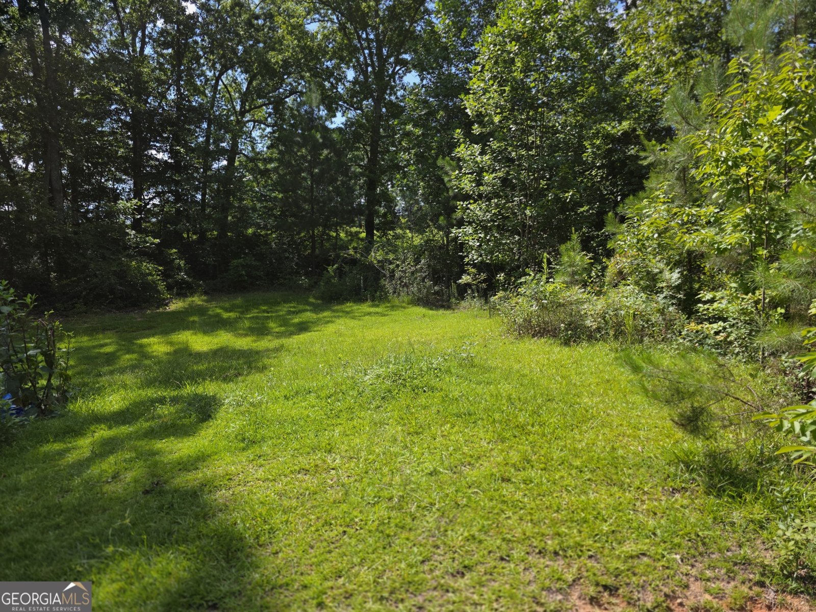 17533 Ga Highway 34 Franklin - 8