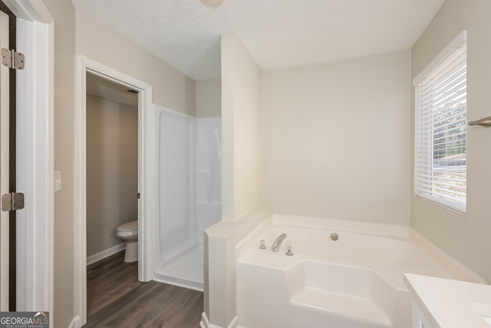 5541 Panola Place Lithonia - 17