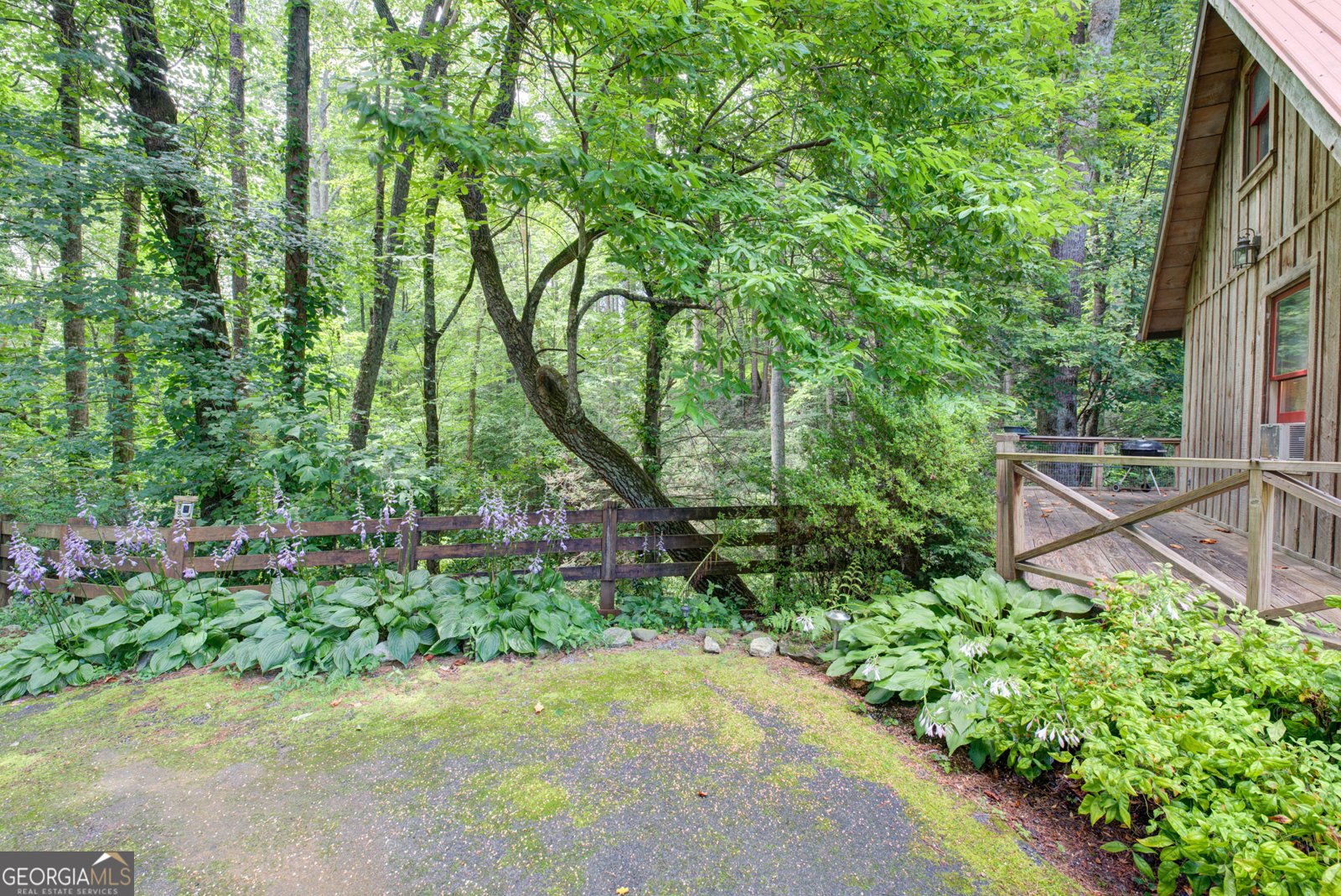 236 Saga Mountain Road Tiger - 31