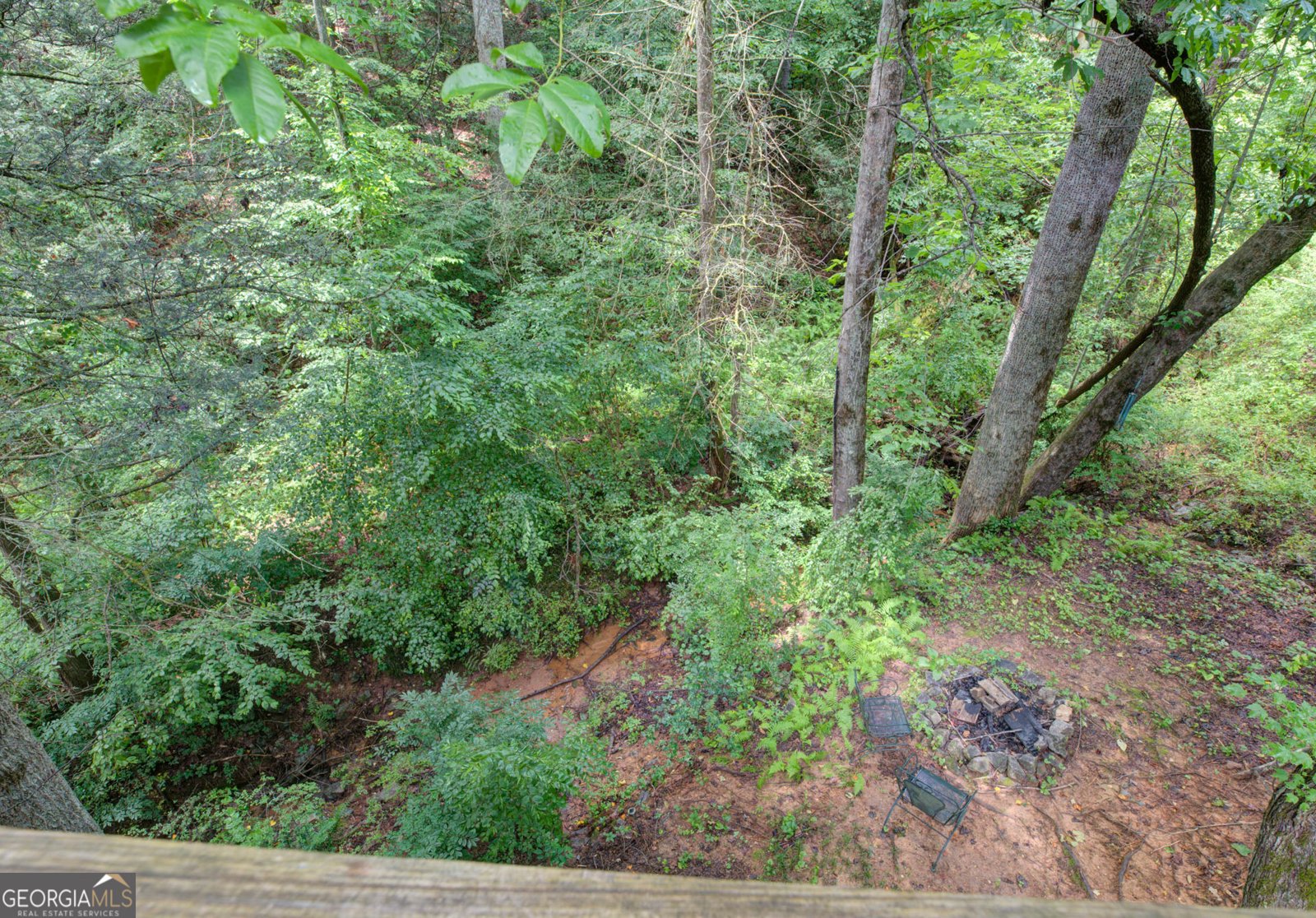 236 Saga Mountain Road Tiger - 32
