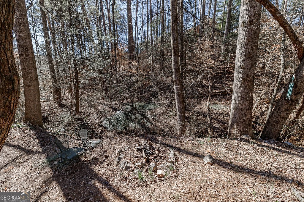 236 Saga Mountain Road Tiger - 34