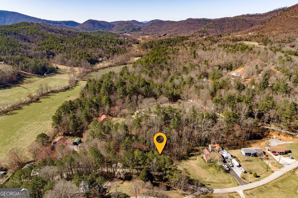 236 Saga Mountain Road Tiger - 36