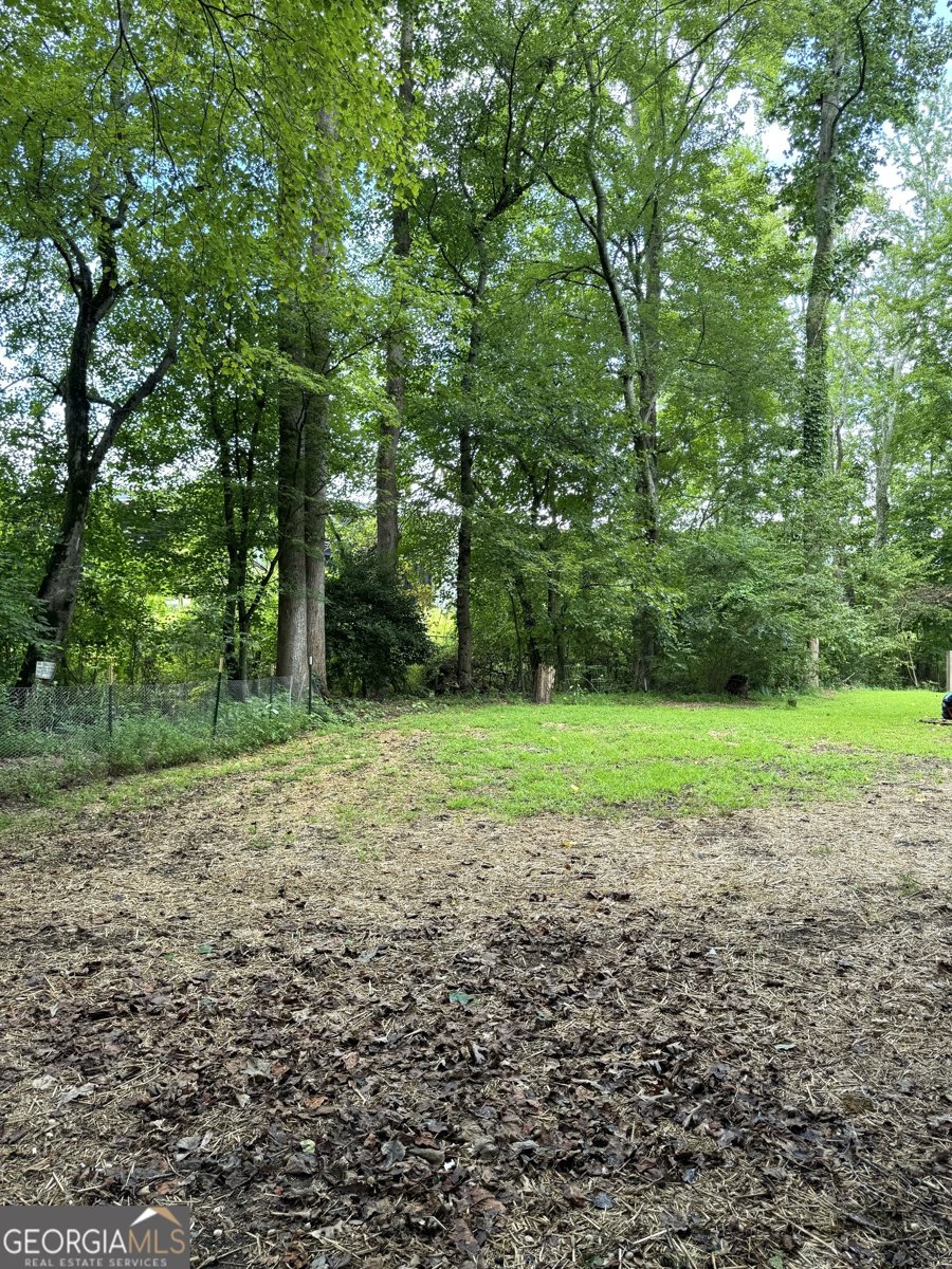 279 Leisure Acres Drive Cleveland - 14