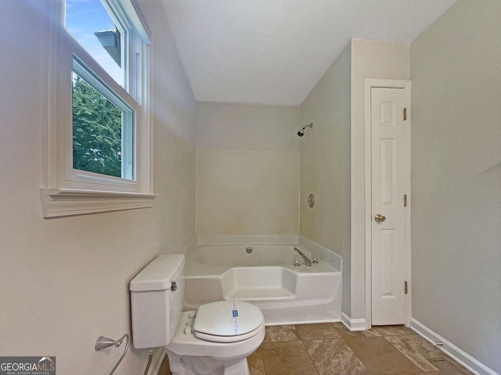 110 Silverthorne Drive Douglasville - 19
