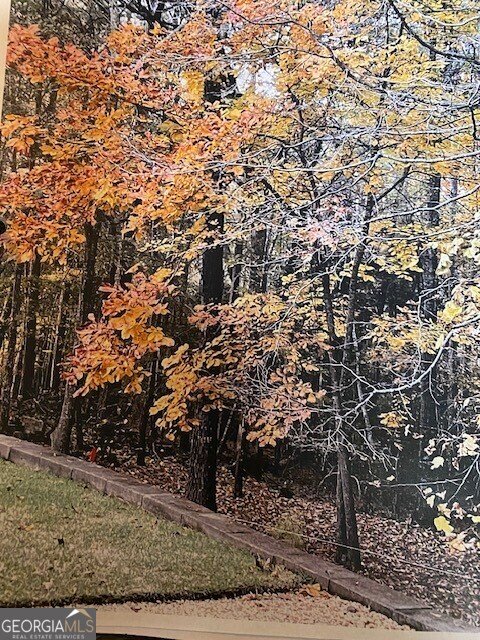 111 Tanglewood Drive Cartersville - 77