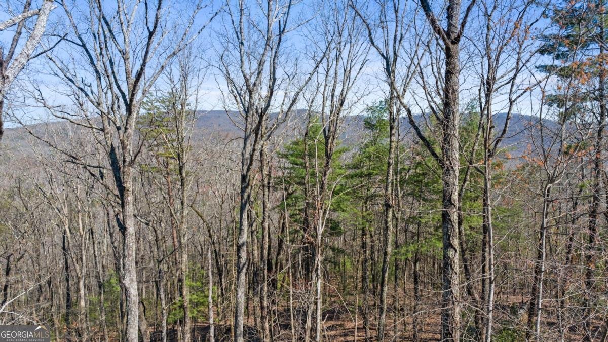 510 Wing Circle Ellijay - 2