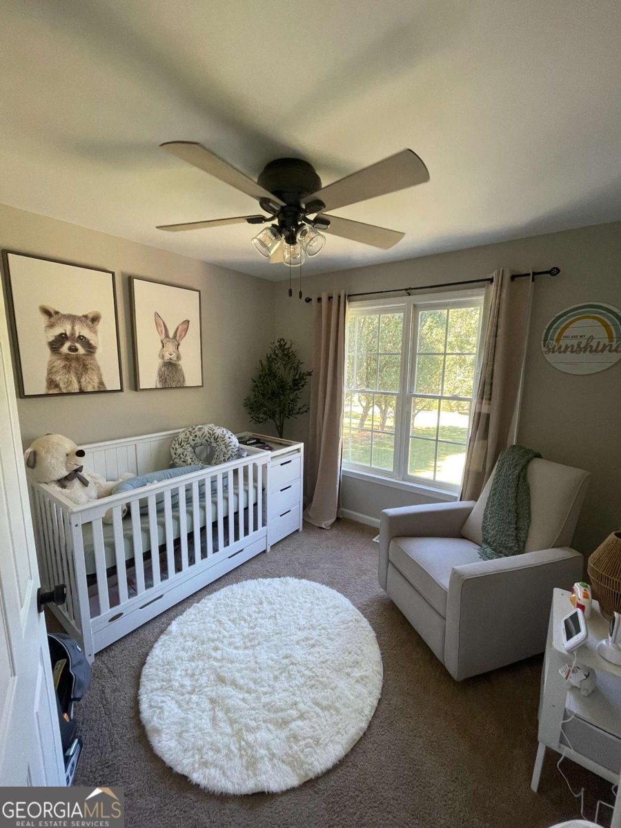 180 Blacks Mill Trace Dawsonville - 6