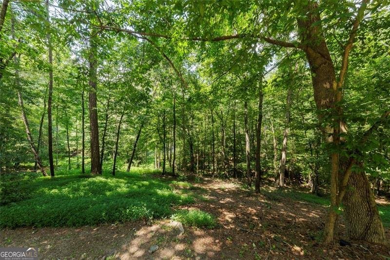 51 MOUNTAIN RIDGE Drive Cartersville - 81