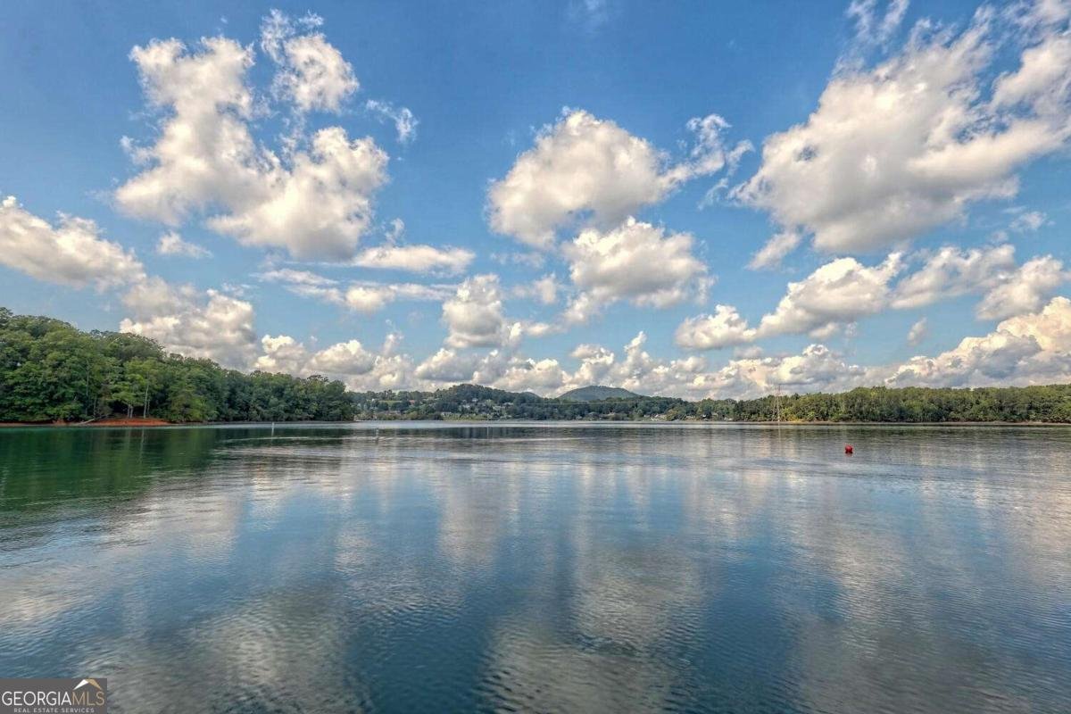 1401 Lakeside Road Hiawassee - 4