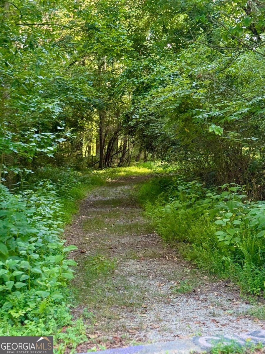 1850 Noblin Ridge Way Duluth - 60