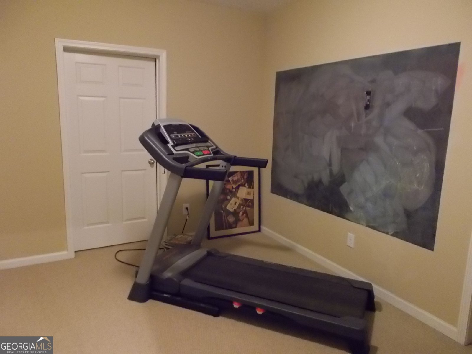 216 Lake Tanisha Drive Dallas - 15