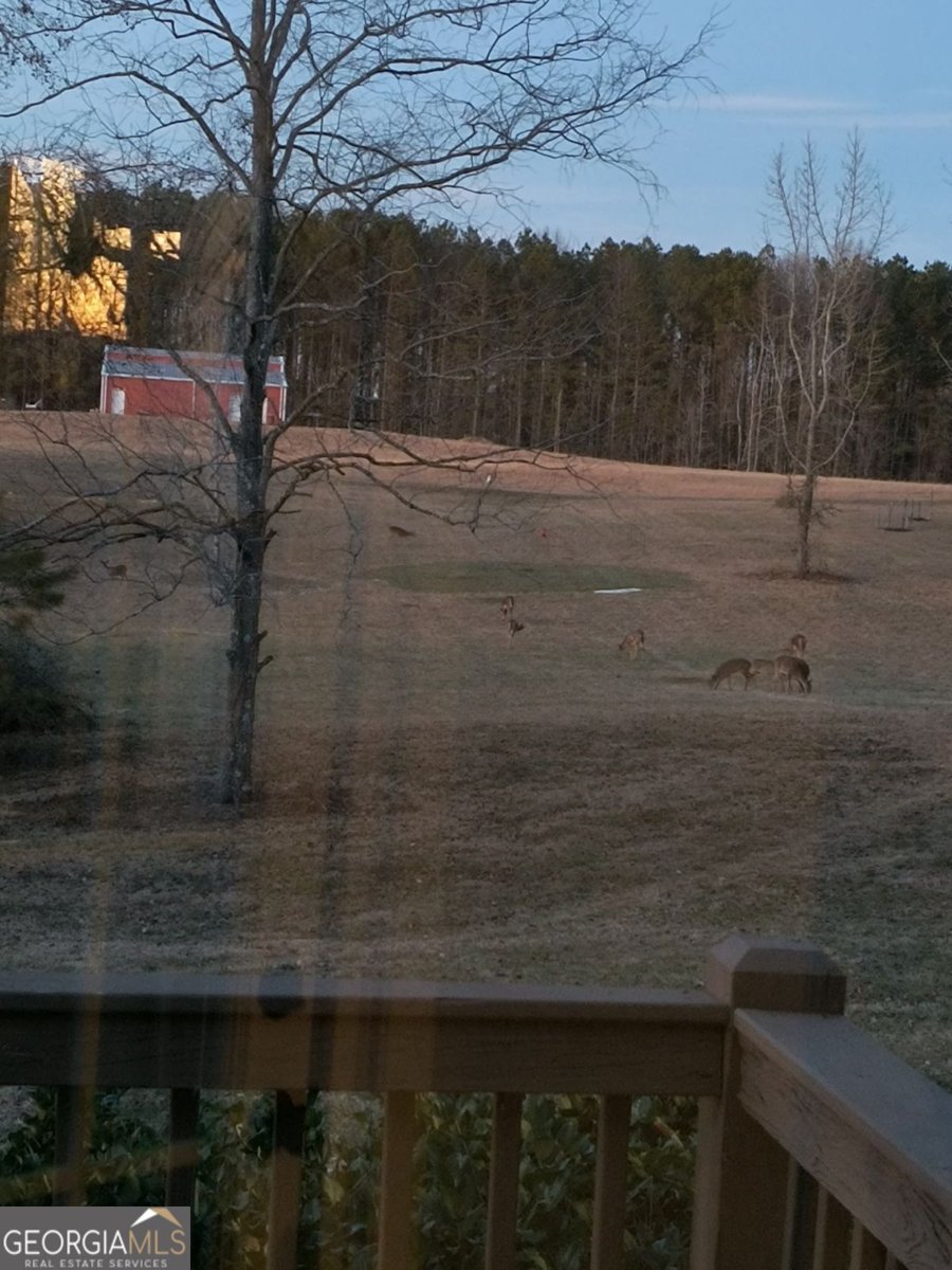 216 Lake Tanisha Drive Dallas - 25