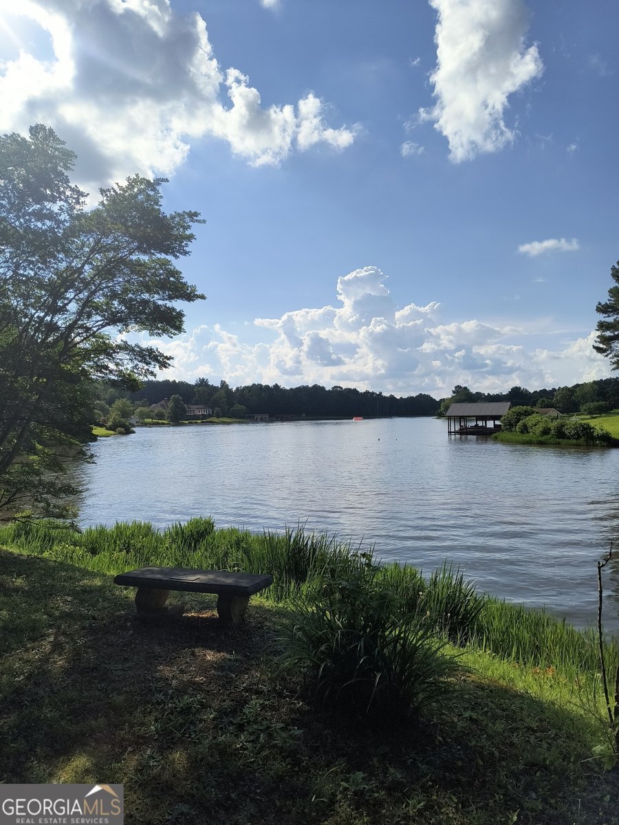 216 Lake Tanisha Drive Dallas - 29