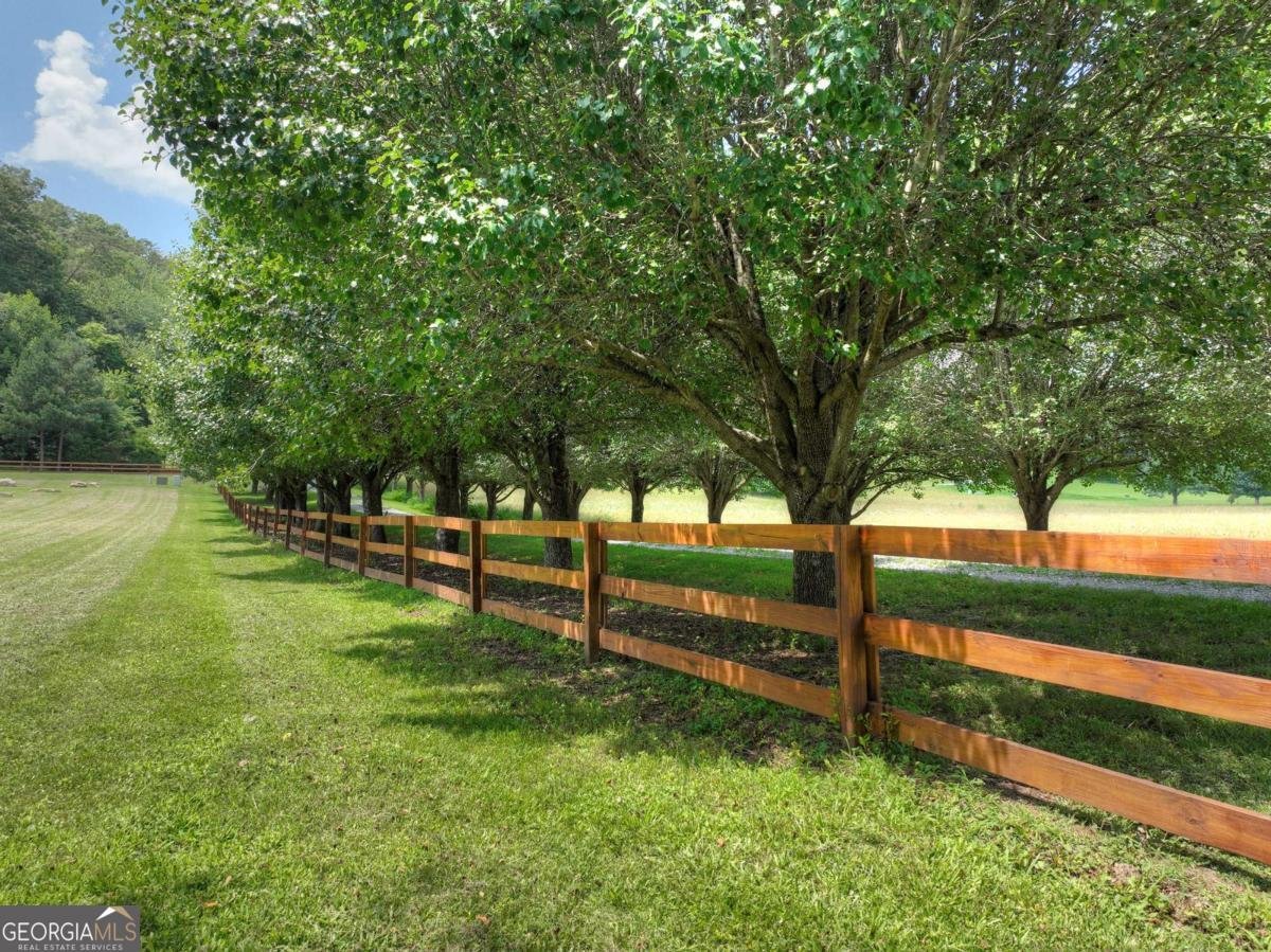 311 Bailey Farm Lane Mineral Bluff - 1