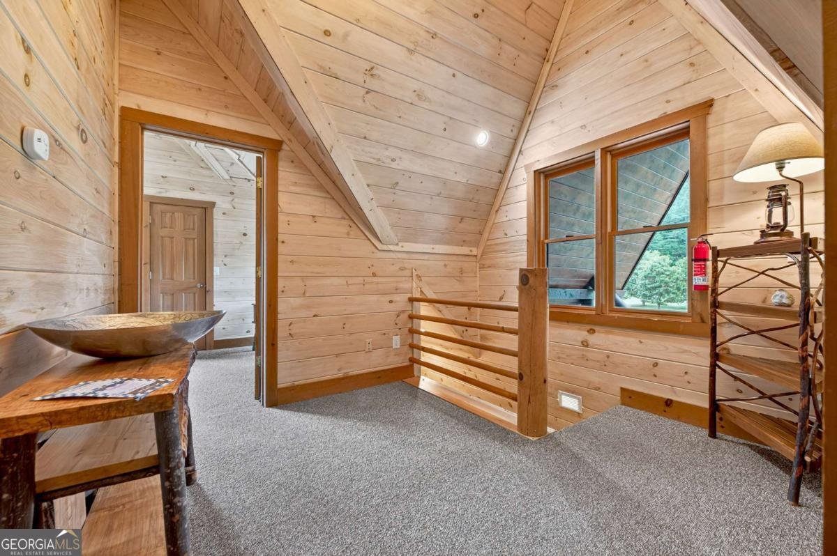 311 Bailey Farm Lane Mineral Bluff - 27