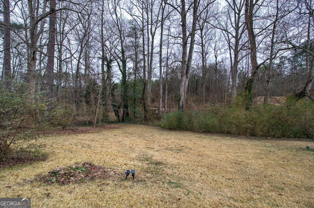 4225 Parkridge Drive Powder Springs - 7