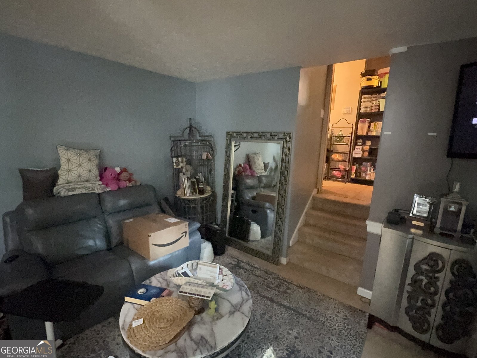 2663 Shiloh Hills Court Snellville - 6