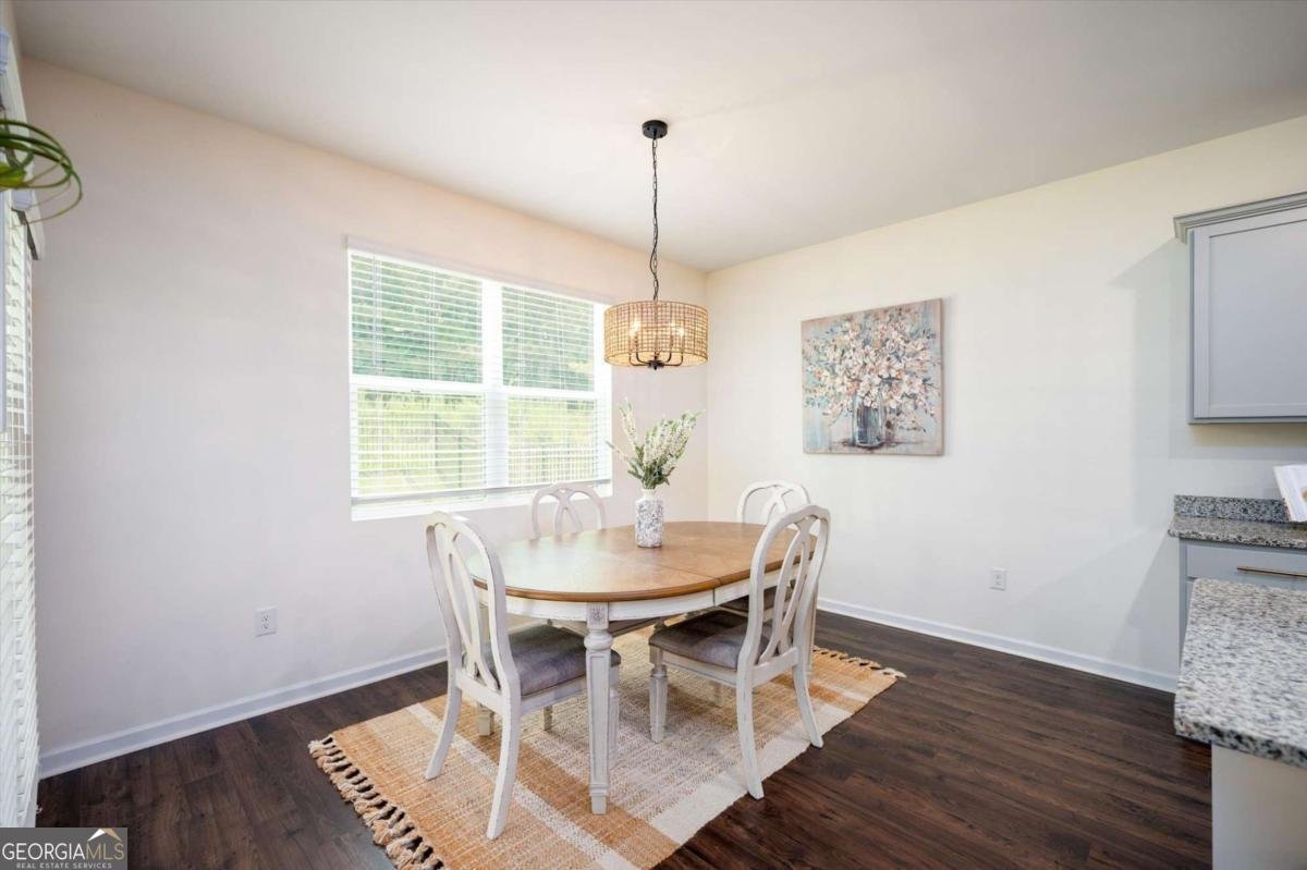 470 Shasta Court Hoschton - 13