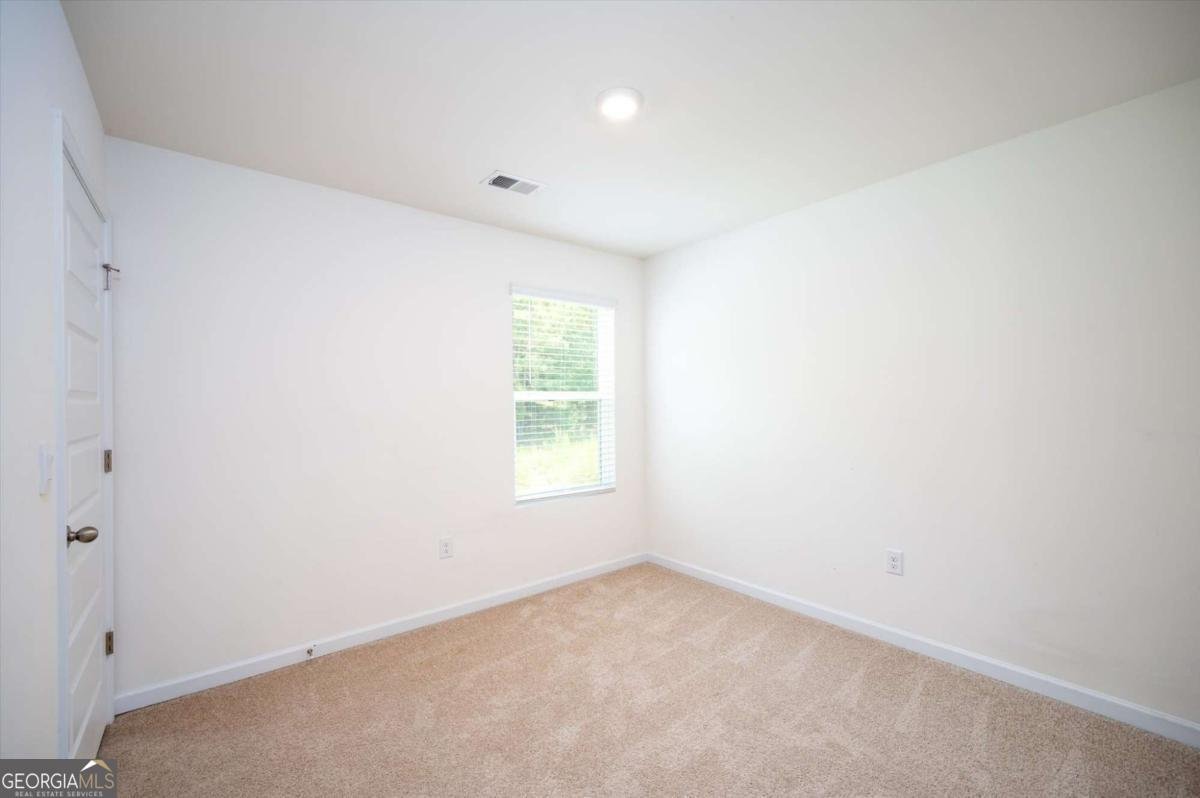 470 Shasta Court Hoschton - 18