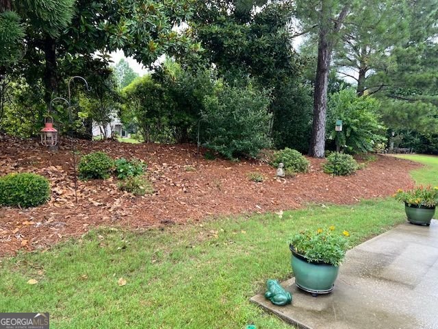 818 Eagle Drive Griffin - 36