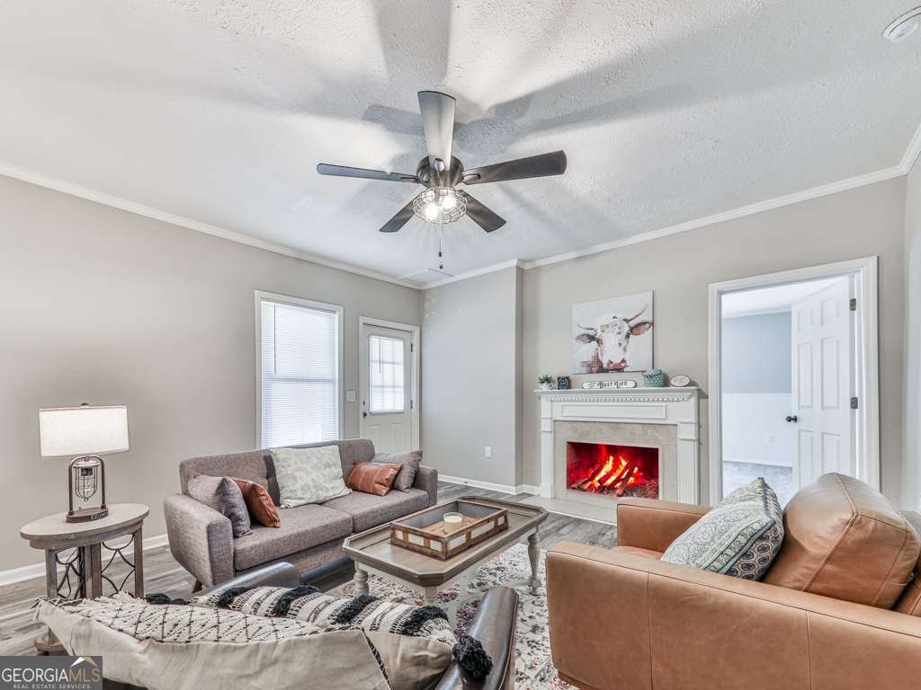 79 Hillside Street Nelson - 3