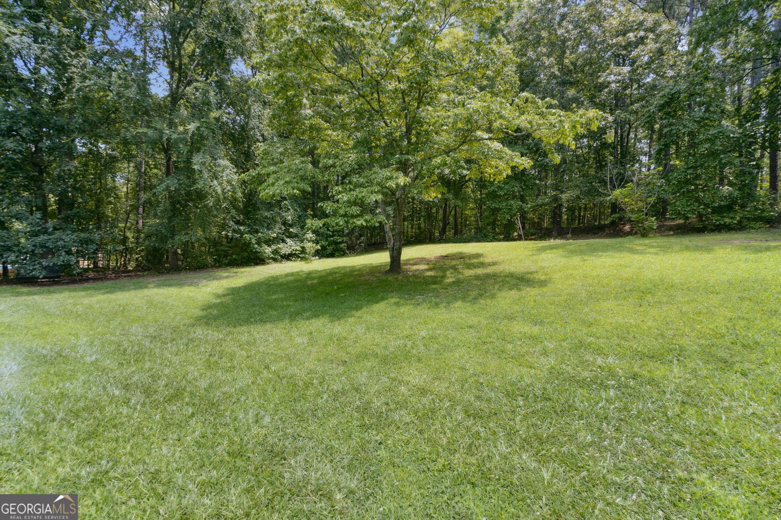146 Pine St Covington - 37